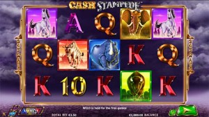 cash-stampede-slot-novo-jogo-dhoze